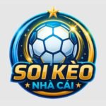 logo-1